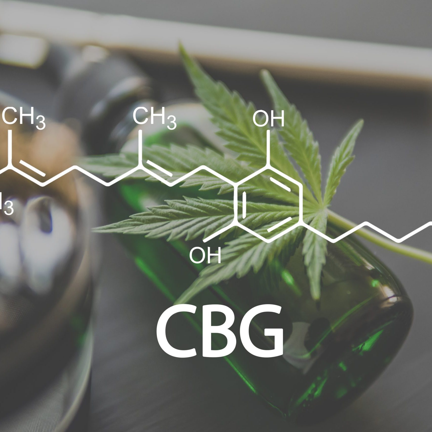 CBG Cannabis plants chemical formula. with the cannabigerol molecule.
